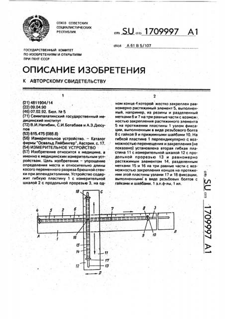 Измерительное устройство (патент 1709997)