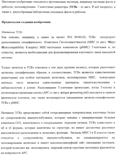 Экспонирование т-клеточных рецепторов (патент 2346004)