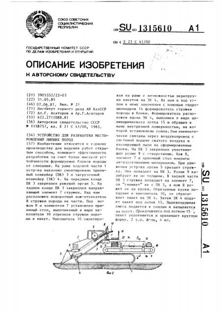 Устройство для разработки месторождений липких пород (патент 1315610)