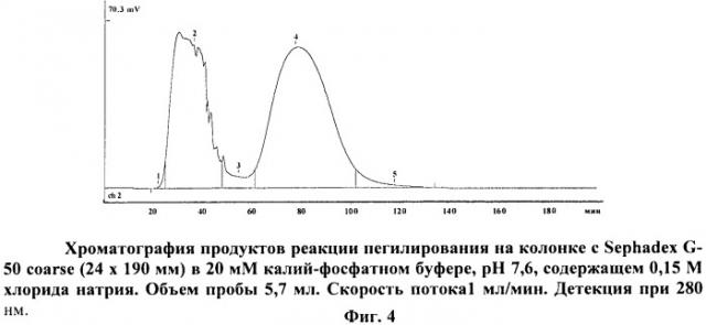 Способ получения субстанции рекомбинантной l-аспарагиназы erwinia carotovora (патент 2441914)