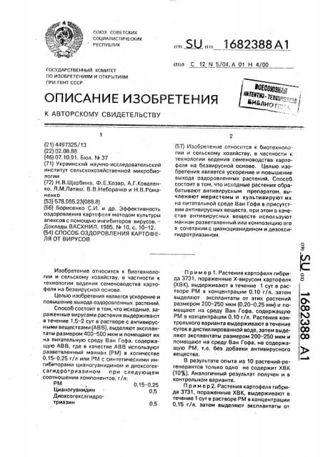 Способ оздоровления картофеля от вирусов (патент 1682388)