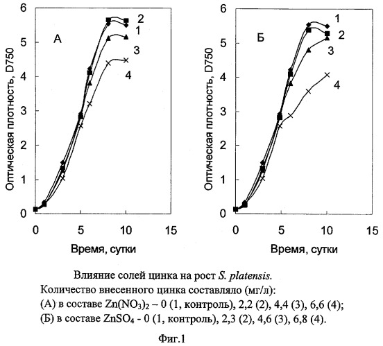 Способ получения обогащенной цинком биомассы спирулины (spirulina platensis) (патент 2277124)