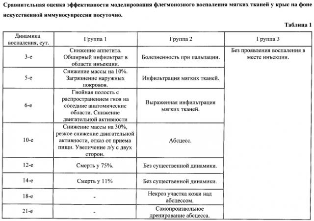 Способ получения лабораторной модели артифициального флегмонозного воспаления мягких тканей у крыс на фоне искусственной иммуносупрессии (патент 2581255)