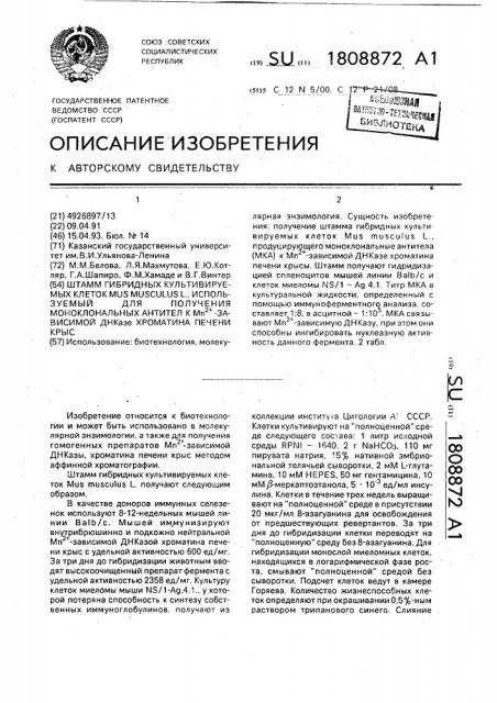 Штамм гибридных культивируемых клеток mus мusсulus l., используемый для получения моноклональных антител к м @ зависимой днказе хроматина печени крыс (патент 1808872)