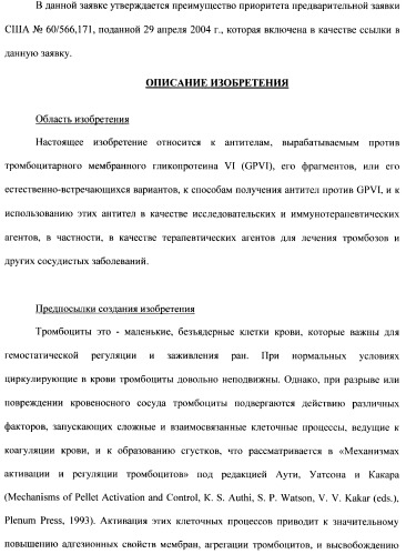Антитела к гликопротеину vi и способы продуцирования и использования этих антител (патент 2407752)