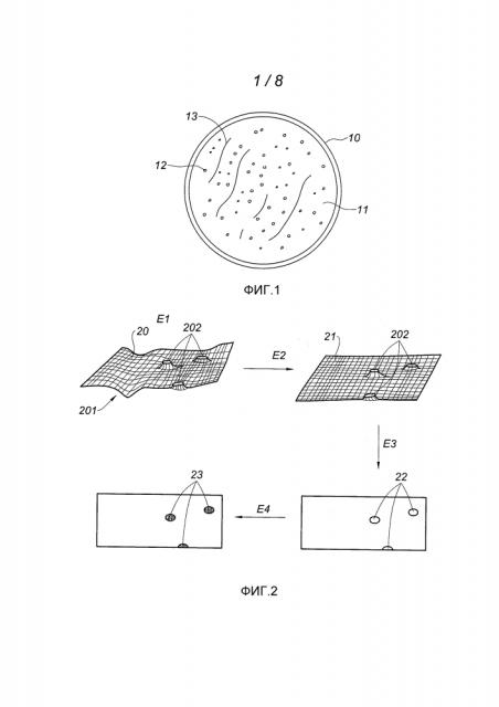 Способ обнаружения скоплений биологических частиц (патент 2604794)