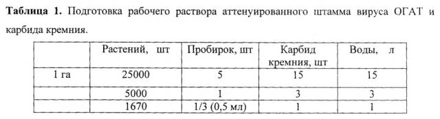 Аттенуированный штамм вируса - биологический препарат для защиты растений огурца от патогенных штаммов вируса зеленой крапчатой мозаики огурца (патент 2642321)