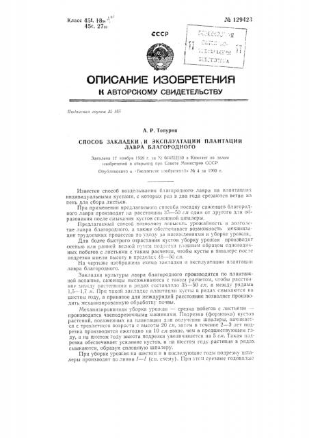 Способ закладки и эксплуатации плантаций лавра благородного (патент 129423)