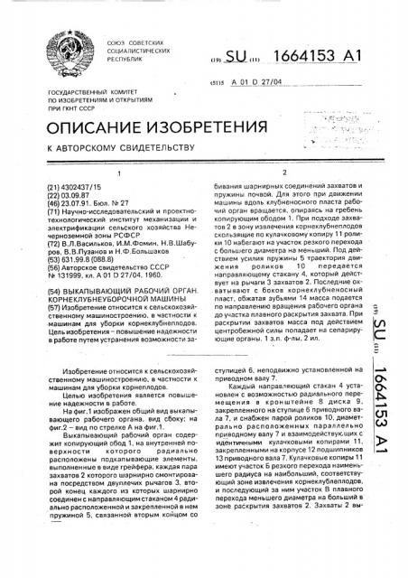 Выкапывающий рабочий орган корнеклубнеуборочной машины (патент 1664153)