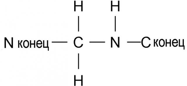 Мотилин-подобное пептидное соединение, обладающее приданной ему трансмукозальной абсорбционной способностью (патент 2540012)