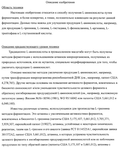 Способ получения l-аминокислот с использованием бактерии, принадлежащей к роду escherichia (патент 2312893)