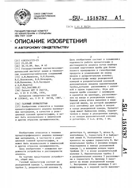 Газовый хроматограф (патент 1518787)
