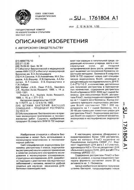 Штамм бактерий bacillus coagulans - продуцент рестриктазы всо ai (патент 1761804)