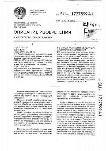 Способ обработки междурядий многолетних насаждений (патент 1727599)