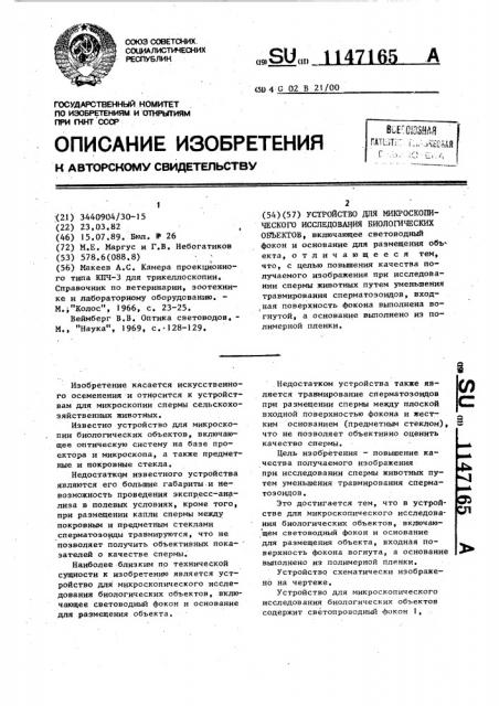 Устройство для микроскопического исследования биологических объектов (патент 1147165)
