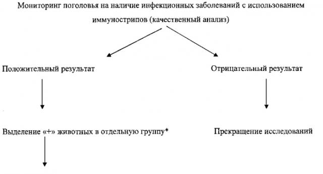 Способ сбора информации для экспресс-диагностики инфекционных заболеваний биологических объектов - животных и птиц с использованием rfid-меток и система для его осуществления (патент 2581913)