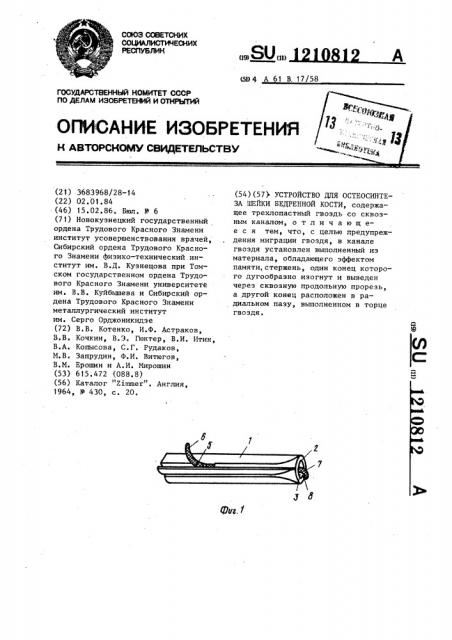 Устройство для остеосинтеза шейки бедренной кости (патент 1210812)