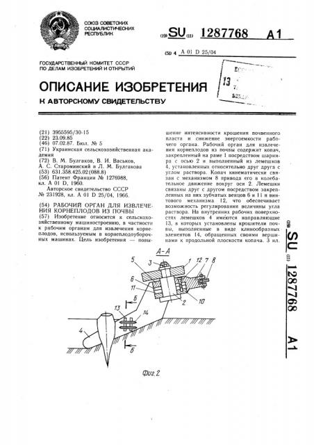 Рабочий орган для извлечения корнеплодов из почвы (патент 1287768)