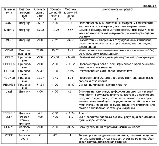 Способы получения волосяных микрофолликулов и de novo сосочков и их применение для in vitro тестов и in vivo имплантаций (патент 2507254)