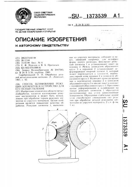 Способ шлифования режущих элементов и устройство для его осуществления (патент 1373539)