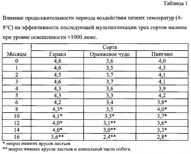 Способ сохранения ювенильного статуса культуры in vitro малины (rubus idaeus) (патент 2662670)