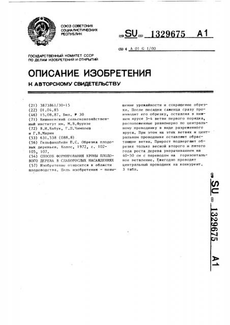 Способ формирования кроны плодового дерева в слаборослых насаждениях (патент 1329675)