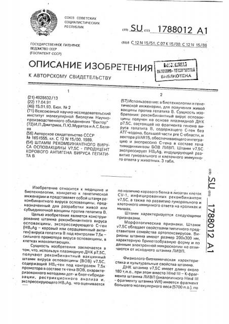 Штамм рекомбинатного вируса осповакцины v 7,5 с - продуцент корового антигено вируса гепатита в (патент 1788012)