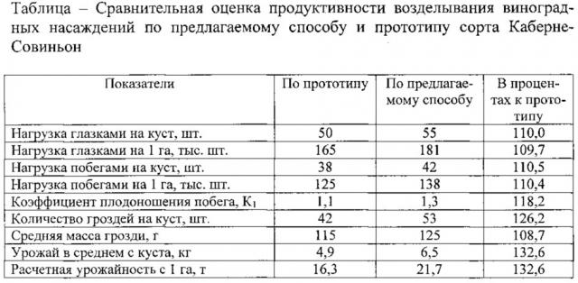 Способ ведения и формирования виноградных кустов (патент 2612207)