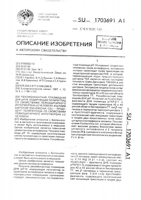 Рекомбинантная плазмидная днк @ 14, кодирующая полипептид, со свойствами лейкоцитарного интерферона @ 2 человека, и штамм бактерий еsснеriснiа coli - продуцент полипептида со свойствами лейкоцитарного интерферона @ 2 человека (патент 1703691)