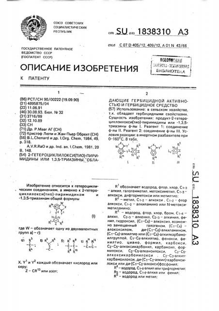 2-гетероциклилокси/тио/-пиримидины или -1.3,5-триазины, обладающие гербицидной активностью и гербицидное средство (патент 1838310)