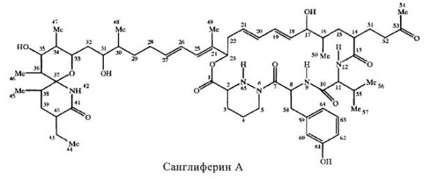 Применение санглиферина для лечения вируса гепатита с (патент 2427372)