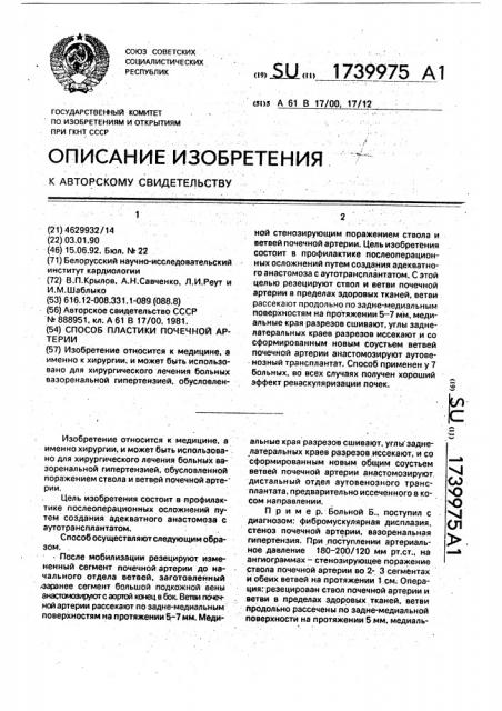 Способ пластики почечной артерии (патент 1739975)