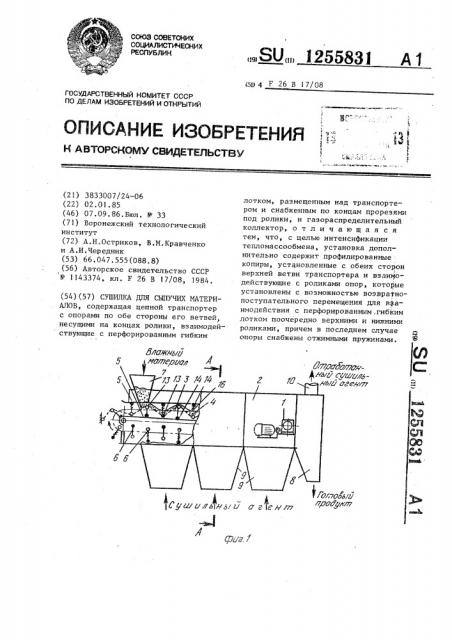 Сушилка для сыпучих материалов (патент 1255831)