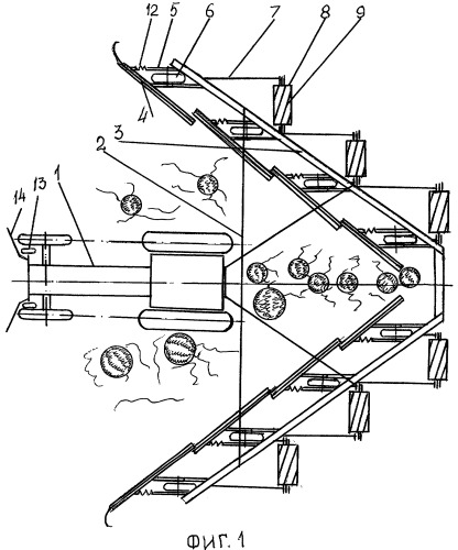Валкообразователь плодов бахчевых культур (патент 2391809)