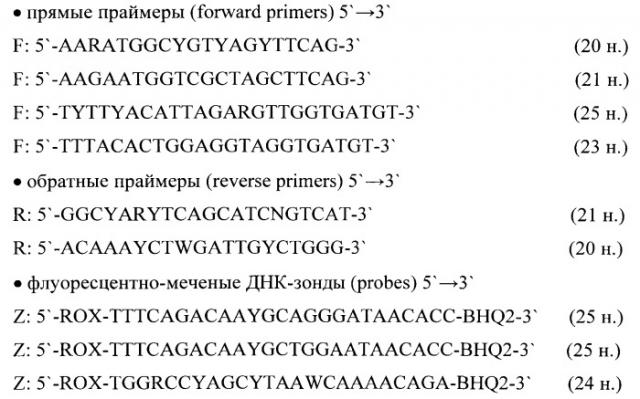 Набор олигодезоксирибонуклеотидных праймеров и флуоресцентно-меченых зондов для идентификации рнк метапневмовируса человека (патент 2543149)