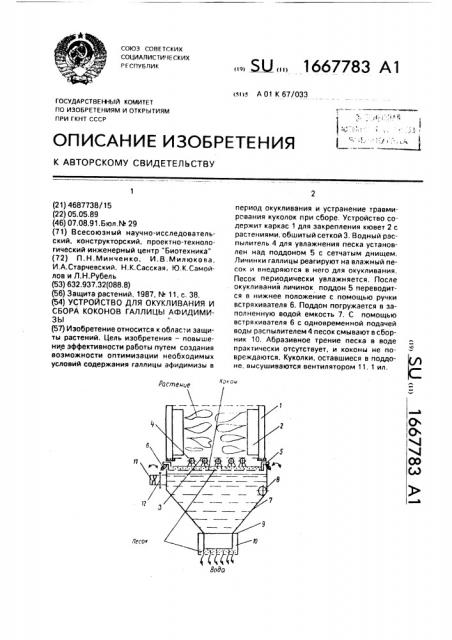 Устройство для окукливания и сбора коконов галлицы афидимизы (патент 1667783)