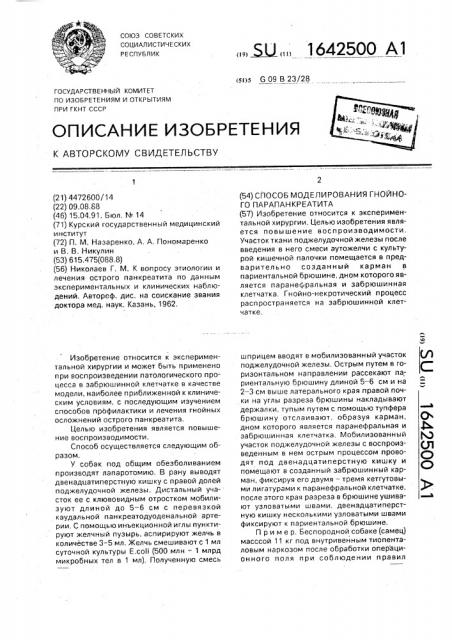 Способ моделирования гнойного парапанкреатита (патент 1642500)