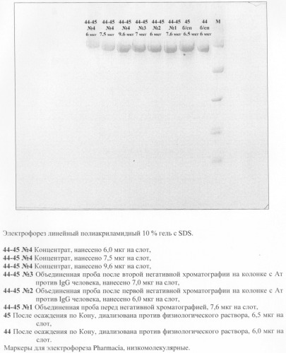 Способ получения альфа-фетопротеина (патент 2308286)