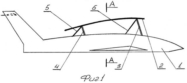 Трехкрылый самолет (патент 2319642)