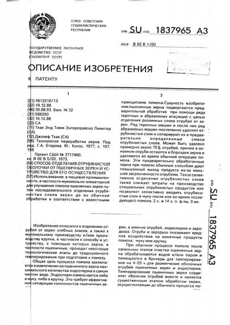 Способ отделения отрубянистой оболочки от пшеничных зерен и устройство для его осуществления (патент 1837965)