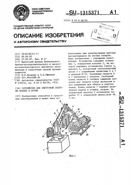 Устройство для береговой сплотки бревен в пучки (патент 1315371)