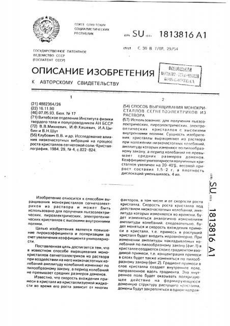 Способ выращивания монокристаллов сегнетоэлектриков из раствора (патент 1813816)