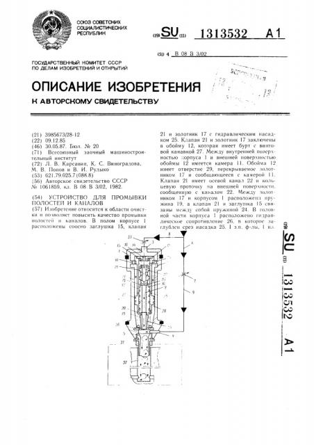 Устройство для промывки полостей и каналов (патент 1313532)