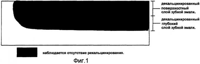 Ускоритель рекальцинирования зубной эмали, композиция для ухода за полостью рта и содержащие его пищевой продукт или напиток (патент 2396969)