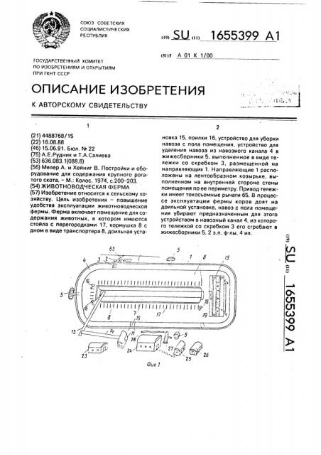 Животноводческая ферма (патент 1655399)