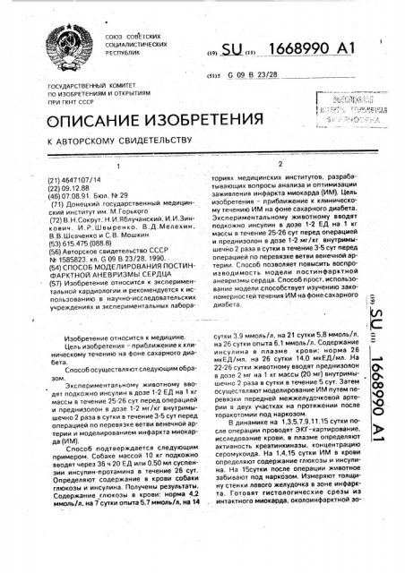 Способ моделирования постинфарктной аневризмы сердца (патент 1668990)