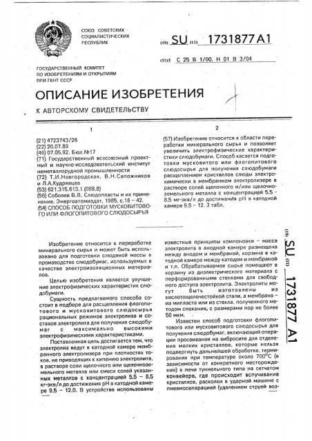 Способ подготовки мусковитового или флогопитового слюдосырья (патент 1731877)