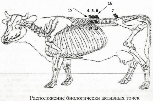 Способ повышения эффективности лечения гипофункции яичников у коров (патент 2471473)