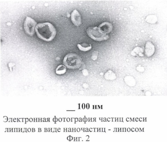 Способ получения липосомальной формы изониазида (патент 2429841)