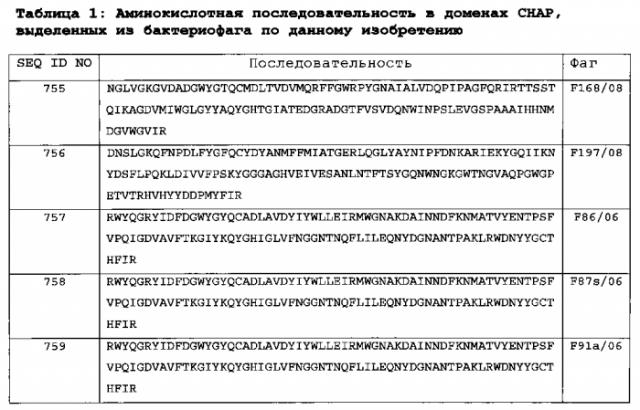 Бактериофаг, обладающий активностью против pseudomonas aeruginosa, белки бактериофага и способы их применения (патент 2580248)